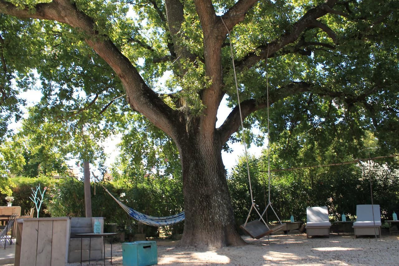 Le Mas Turquoise, B&B Spa-Color Inclus Bédarrides Εξωτερικό φωτογραφία